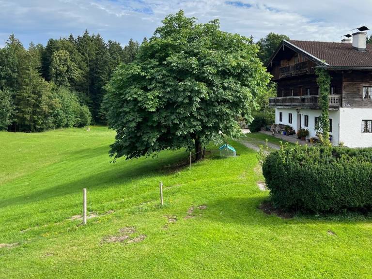 foto14