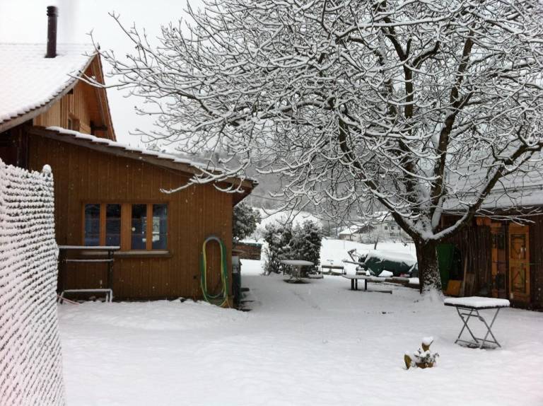Ferienhaus Richterswil