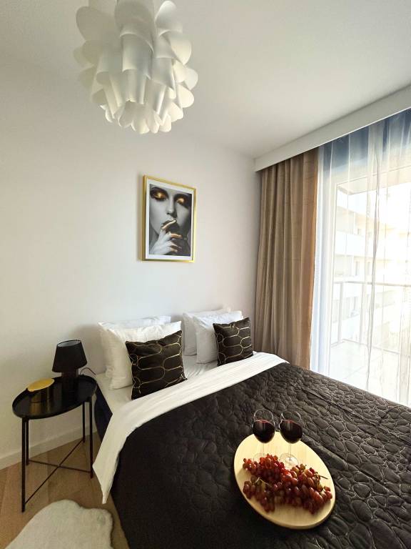 Lumina luxury Apartment on Drewnowska Street — photo 3