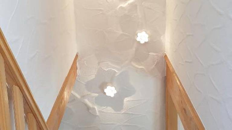foto11