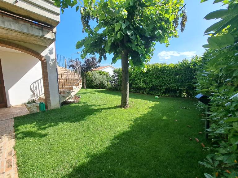 foto41