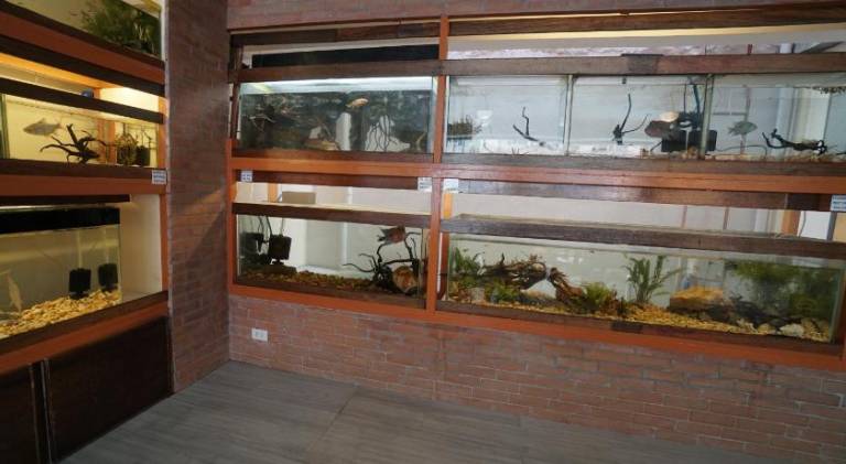foto41