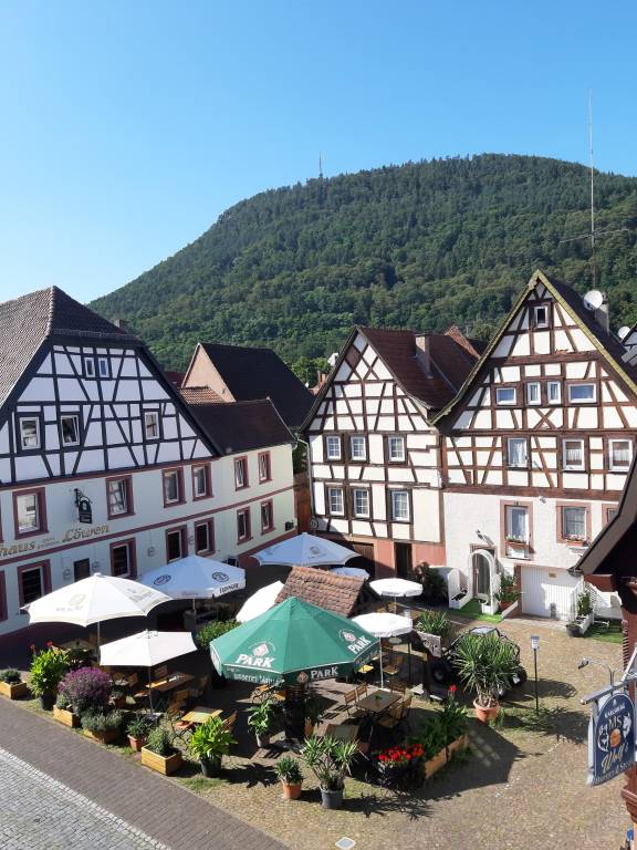 foto1