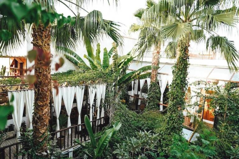 Riad  Riad Laârous