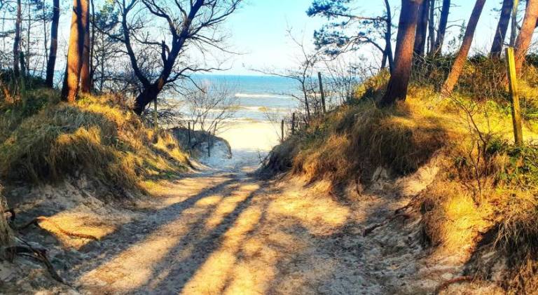 Pleasant apartment | Close to the beach | Pets allowed — photo 4