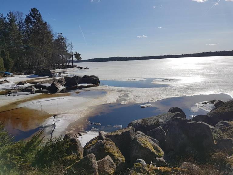 foto41