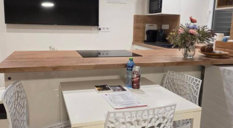 Haas Apartments Slepa, city centre, parking, courtyard in Brno