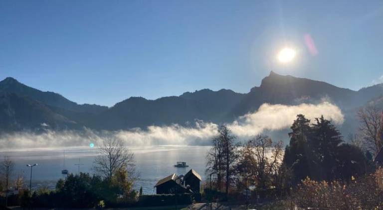 Ferienwohnung Traunsee