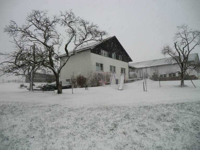 foto2