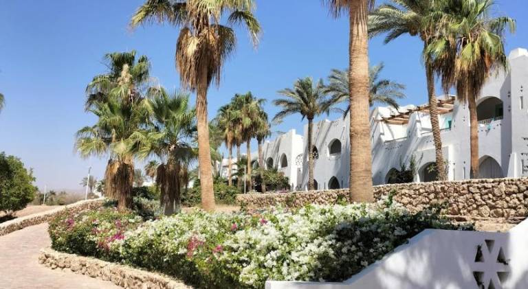 Nice holiday apartment with pool & jacuzzi | Close to the beach | Pets are welcome — photo 4