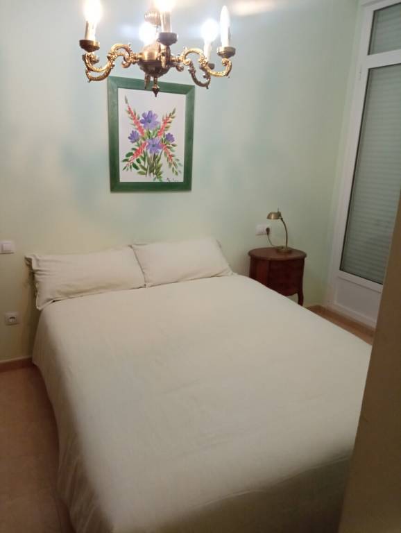 Condo  Alcoi