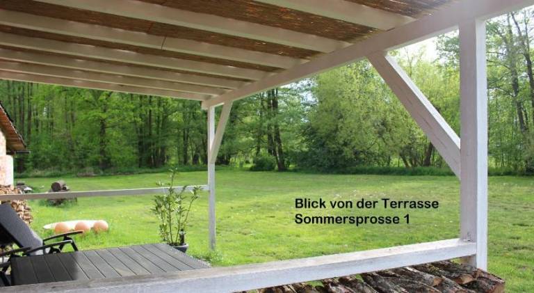 Sommersprosse — photo 5
