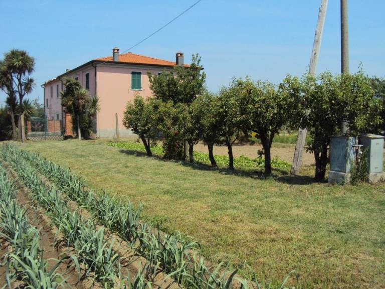 foto6