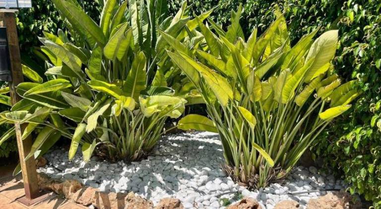 foto27
