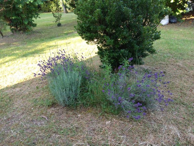 foto31