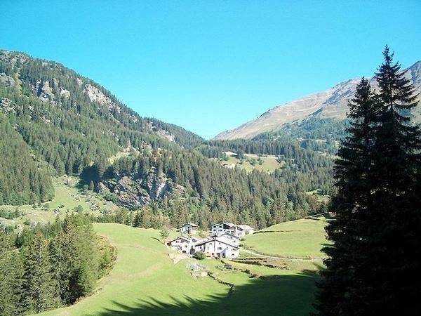 foto1