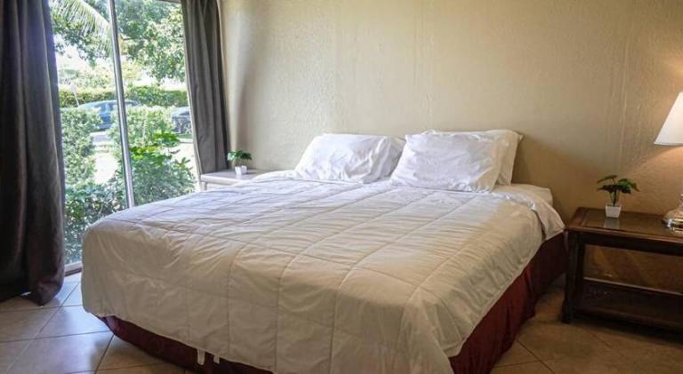 Palm Wave Says - Cozy - 2 Jacuzzis - Quiet Street — photo 2