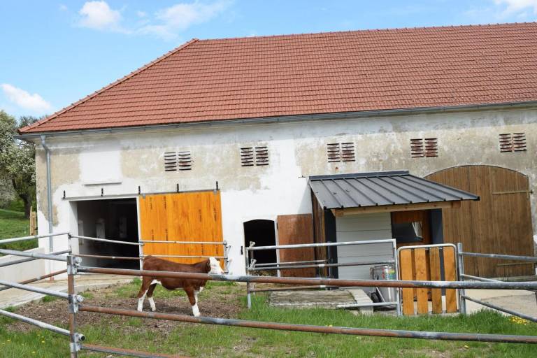 Ferienwohnung Amstetten