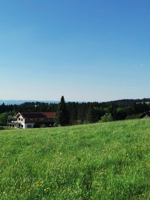foto14