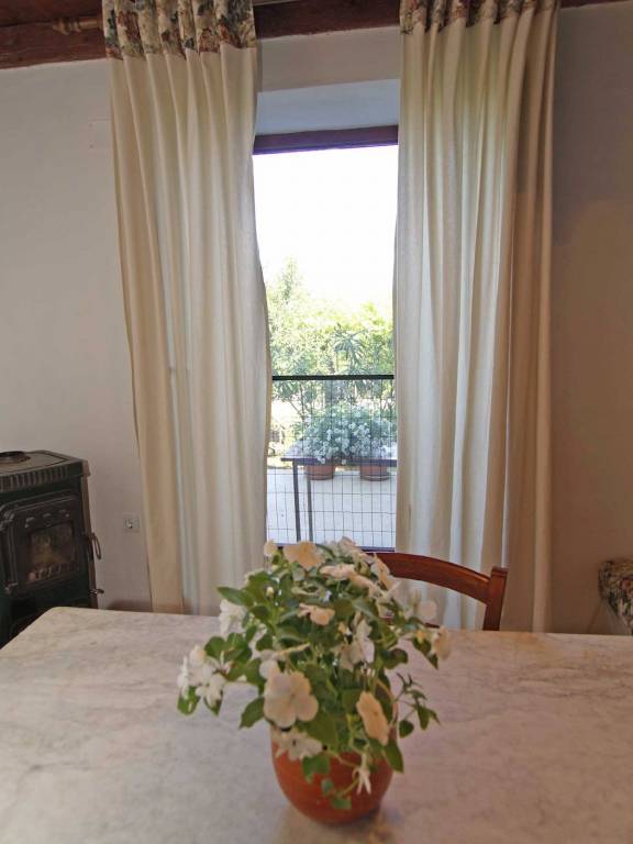 Apartment | Garden view | Dogs allowed — photo 5
