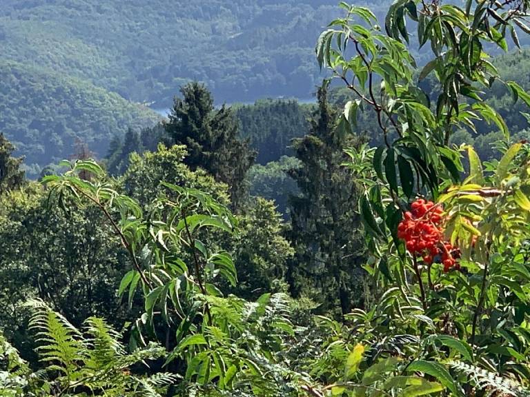 foto41