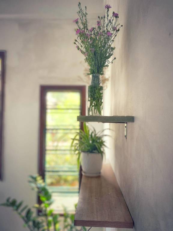 Shine Homestay Huế — photo 4