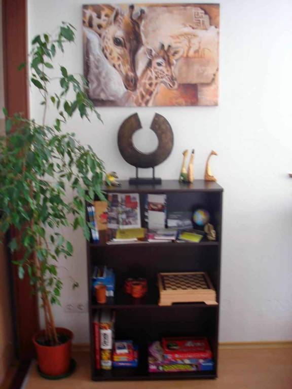 foto8