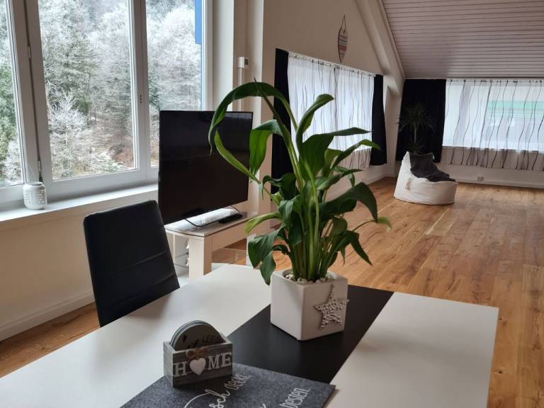 foto23