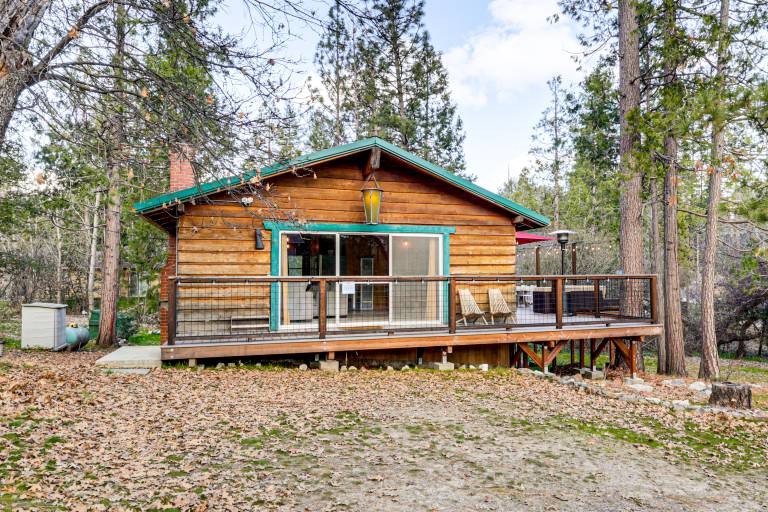 Peaceful Wooden Cabin, 2 Mi to Bass Lake! — photo 3