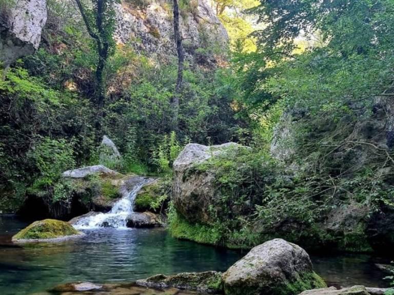 foto46