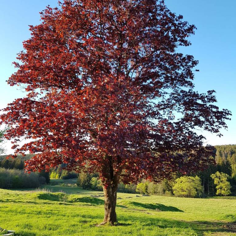 foto17