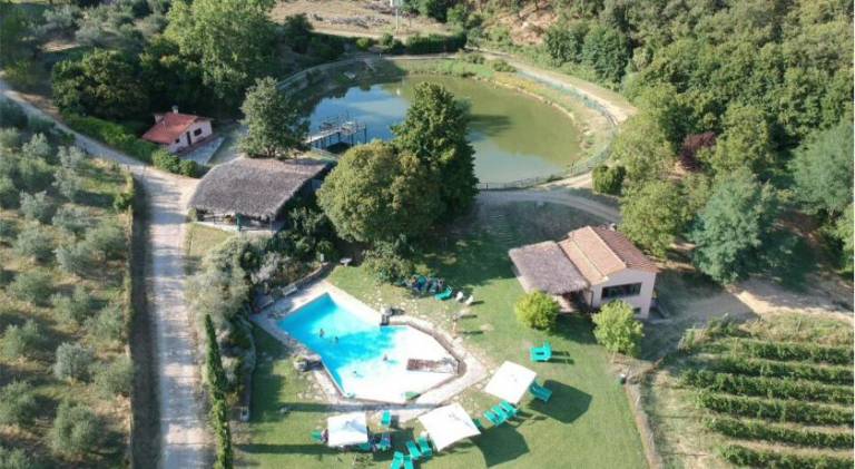 Vacation home with garden, grill & private pool | Perfect for remote work | Dogs allowed in Figline e Incisa Valdarno