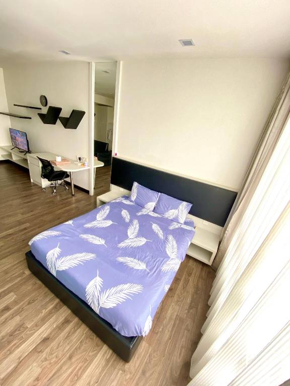 foto11