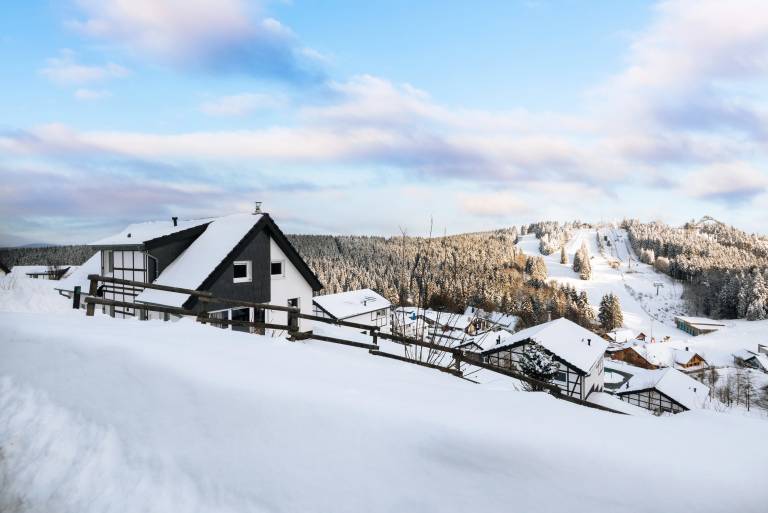 Chalet Winterberg