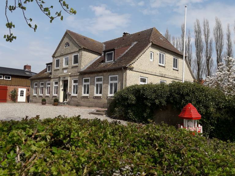 foto1