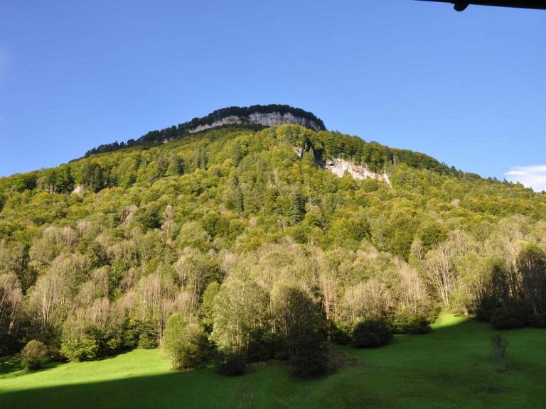 foto22