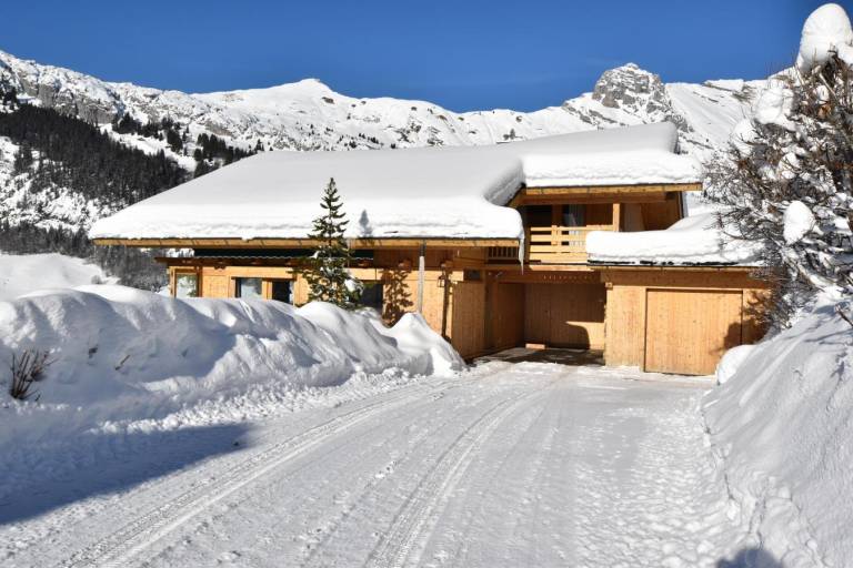 Chalet, view mountain, fitness, sauna, terrace, balcony, fireplace or stove, parking, 190m² in Le Grand-Bornand