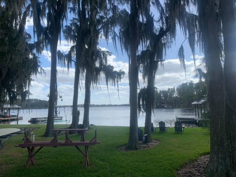 Tampa Furnished Homes Monthly Rentals from 45 HomeToGo