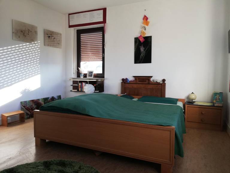 foto5