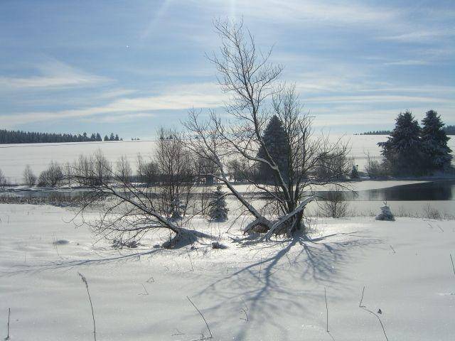 foto15