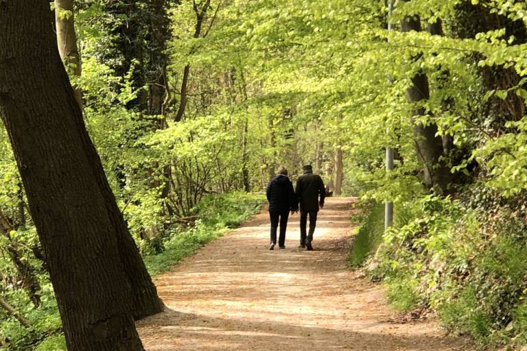foto43