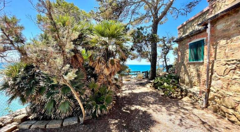 Apartment | Next to the beach | Dogs allowed — photo 3