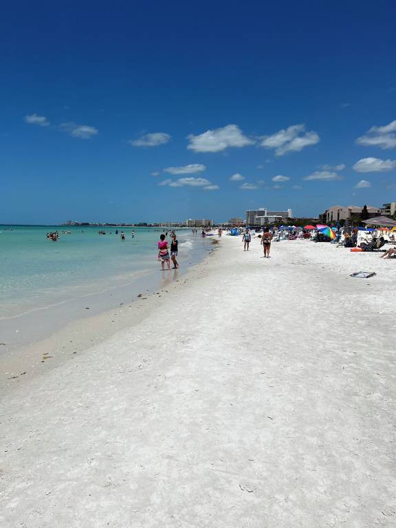 Condo Sarasota