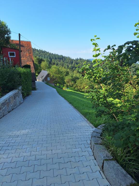 foto28