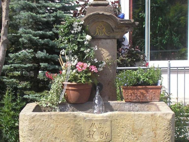 foto6