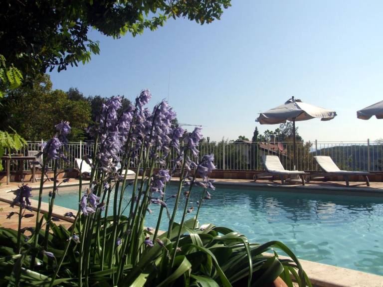 Vacation home with garden, pool & terrace — photo 5