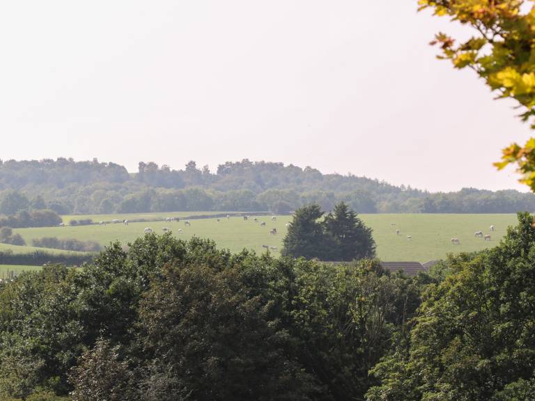 foto39