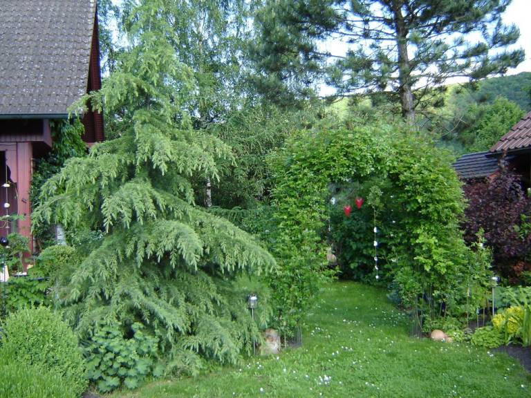 foto18