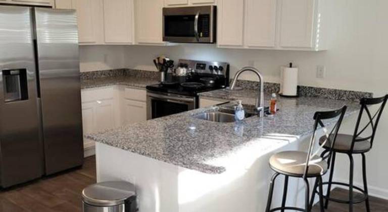 Wonderful rental apartment | Pet-friendly in Columbia, GA