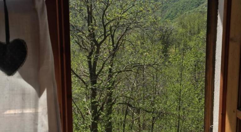 foto44